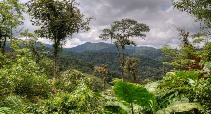 Day Three: Discover the magic of the Mindo Cloud Forest