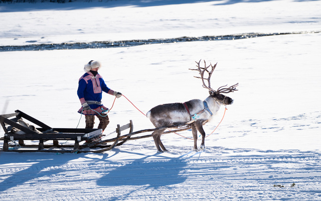 Sami Culture