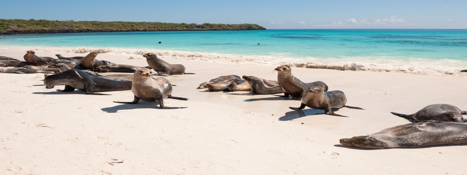 Ecuador and the Galapagos