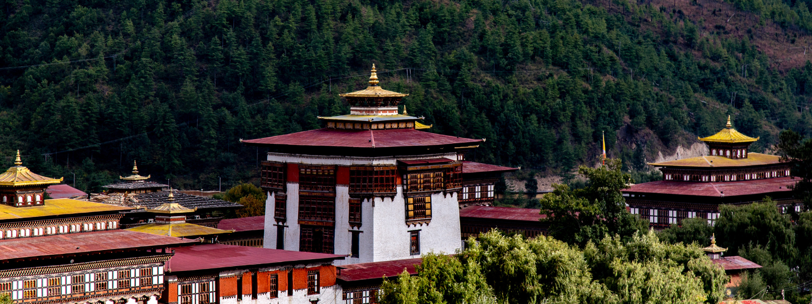 Bhutan Solo Trips & Tours
