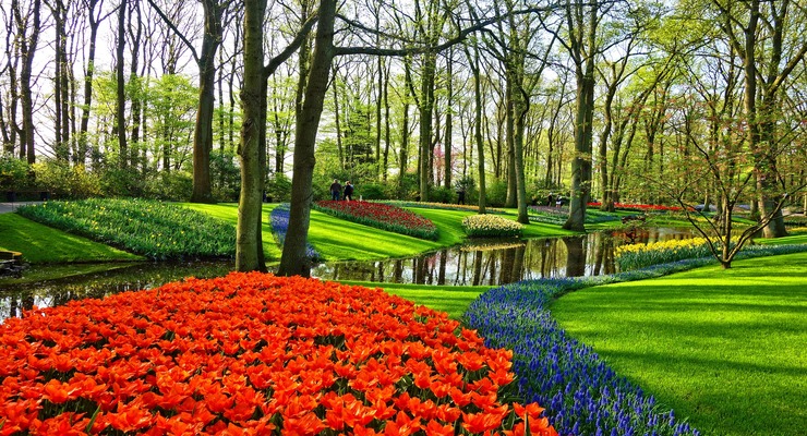 Day Two: Journey to Keukenhof Gardens