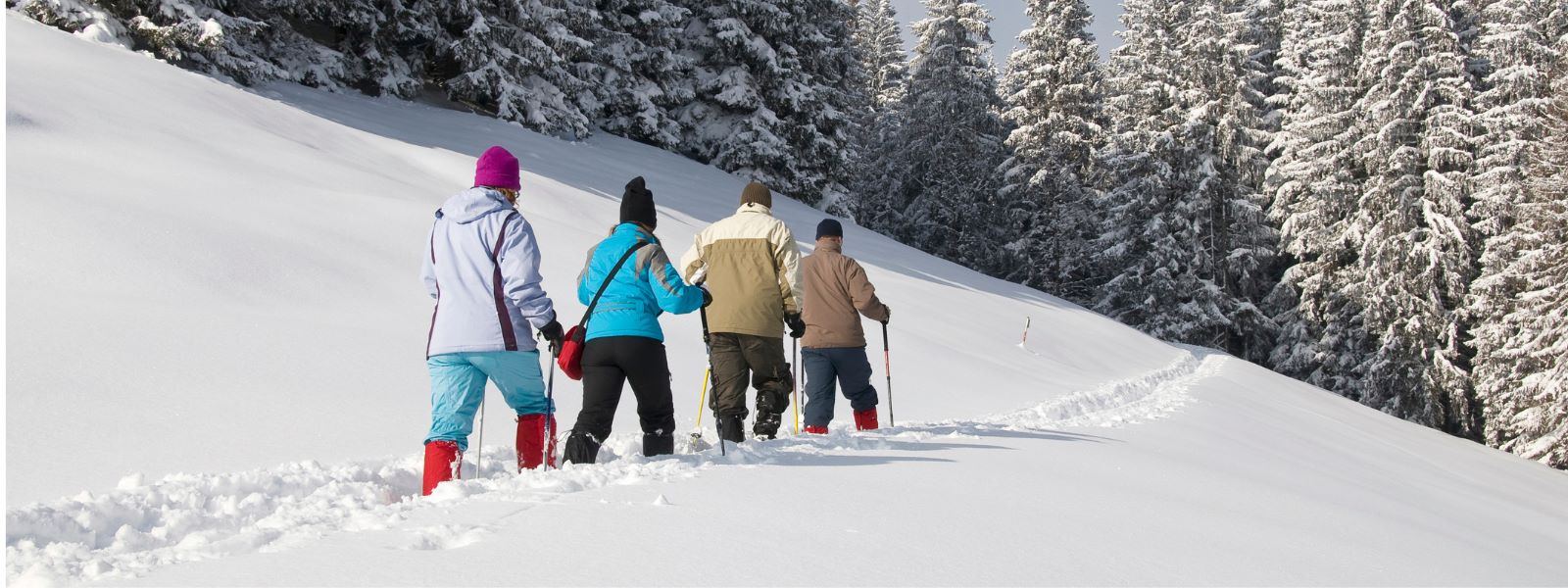 Bulgaria Winter Multi-Activity 