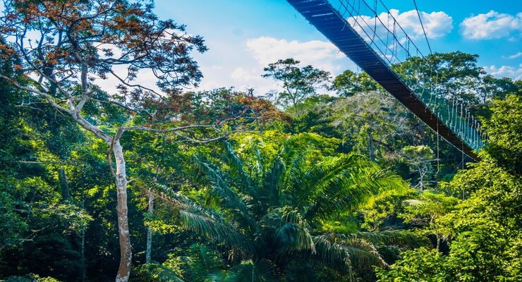 Day Five: Lake Sandoval and the Inkaterra Canopy Walkway