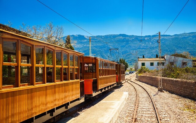 Traditional Transport