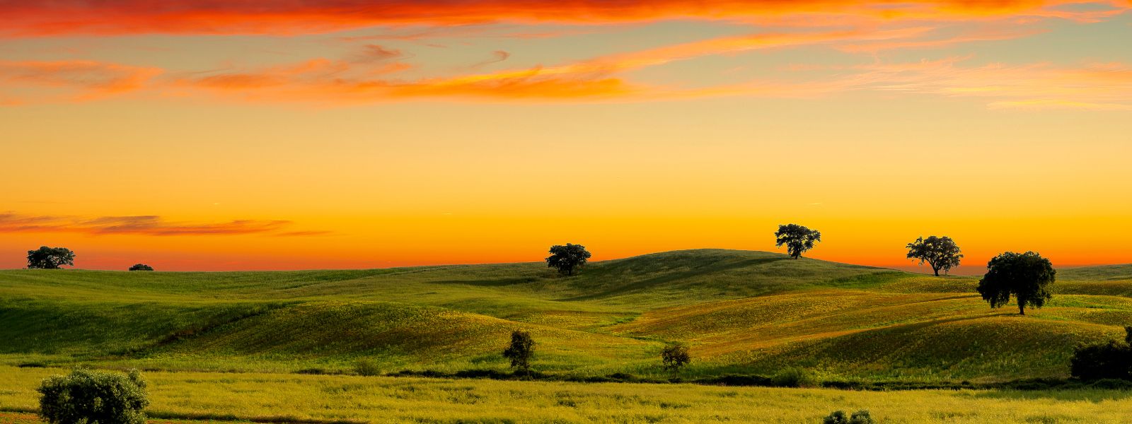 Walking The Golden Alentejo Portugal