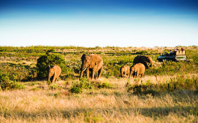 Gondwana Game Reserve