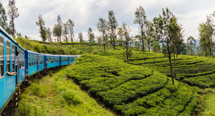 Day Seven: Nuwara Eliya to Ella by train