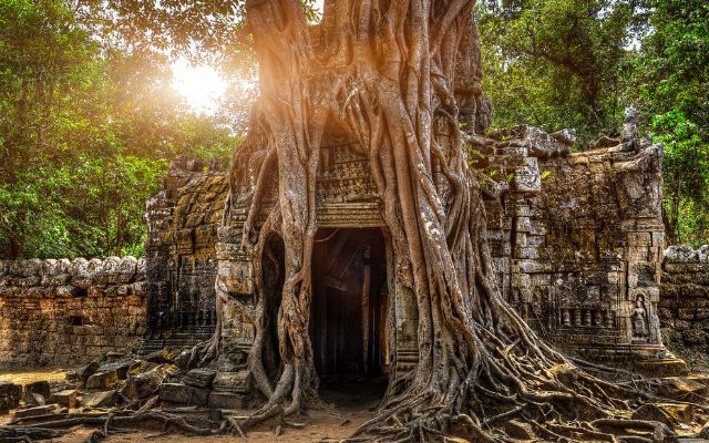 Visit Angkor Wat