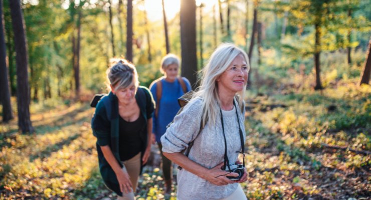 Portrait of group of seniors hikers outdoors in forest in nature, walking.