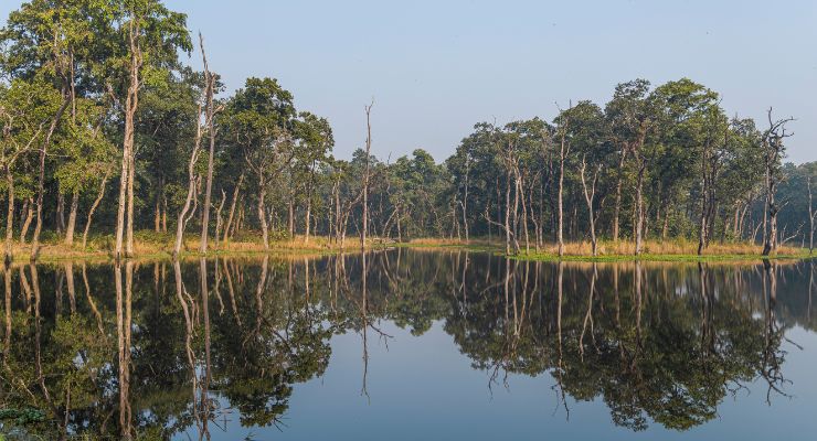 Day Nine: Active Adventures at Chitwan National Park