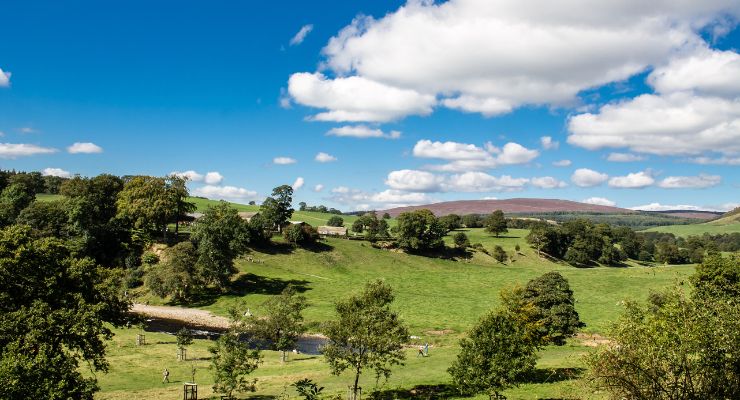 Day Three: Walking in Upper Wharfedale