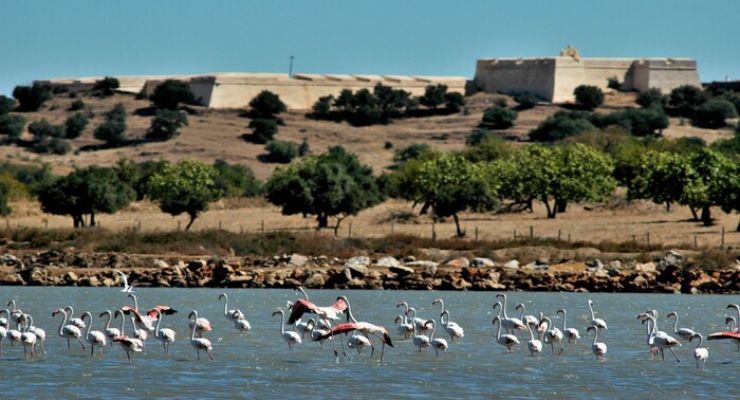 Day Six: Castro Marim Nature Reserve 