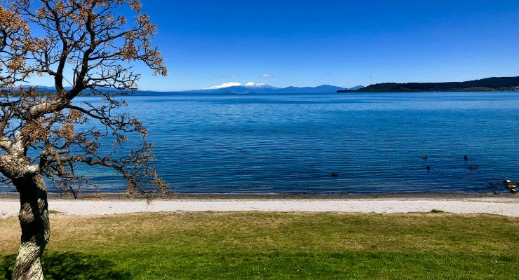 Day Nine: Shores of Lake Taupo and on to Napier