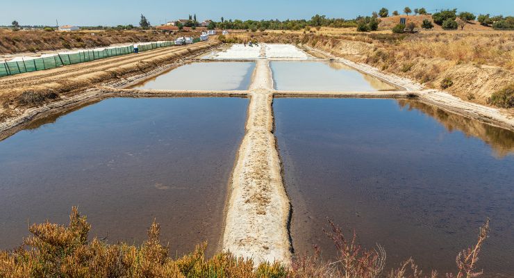 Day Seven: Algarve: Castro Marim Nature Reserve