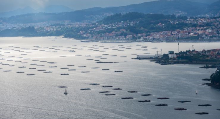 Day Three: Eifonso River Walk & River Vigo Mussel Tasting Cruise