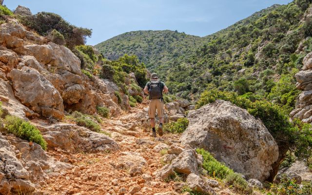 Varied Walking Programme