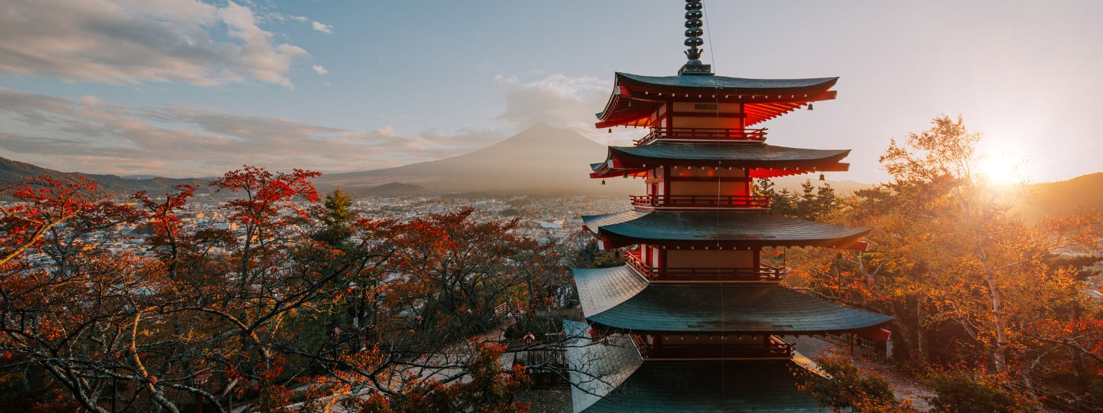 Japan Solo Tours & Holidays