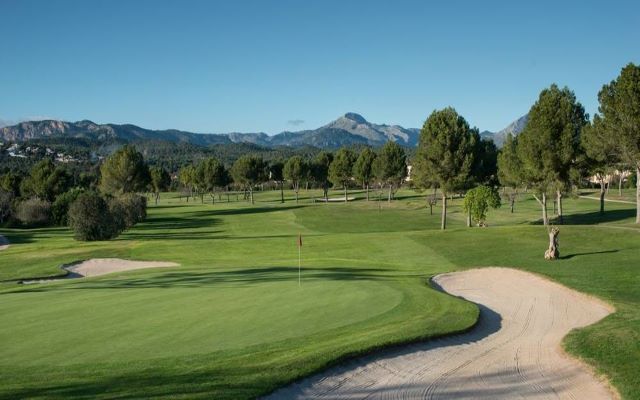 Organised Sociable Golf