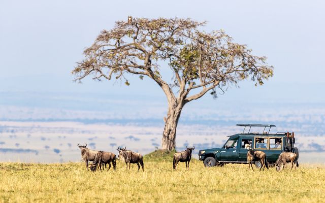 Masai Mara Game Reserve