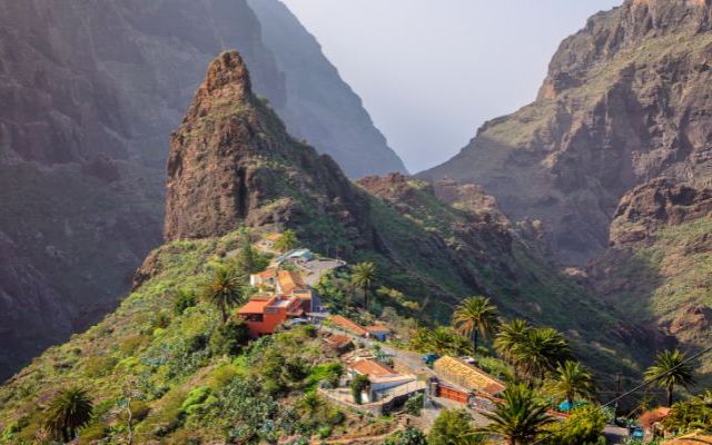 Discover Tenerife's wonders