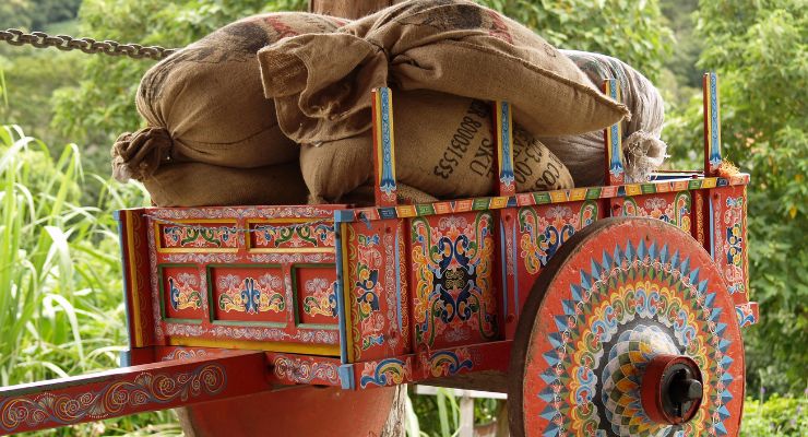 Day Ten: Learn about traditional farming in Monteverde