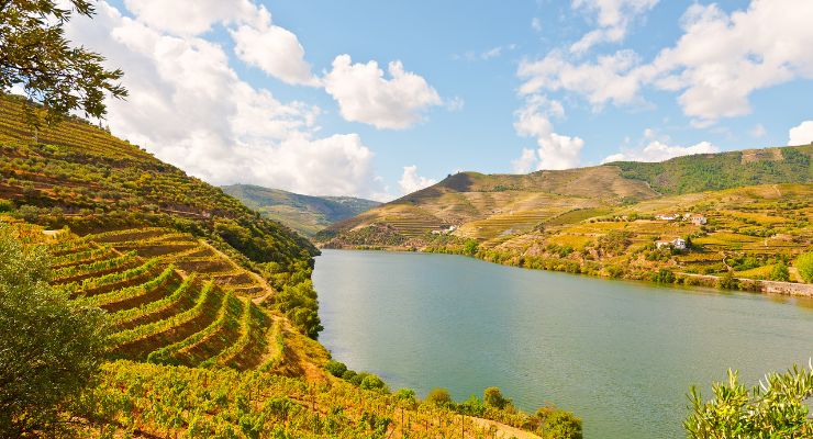 River Douro Portugal