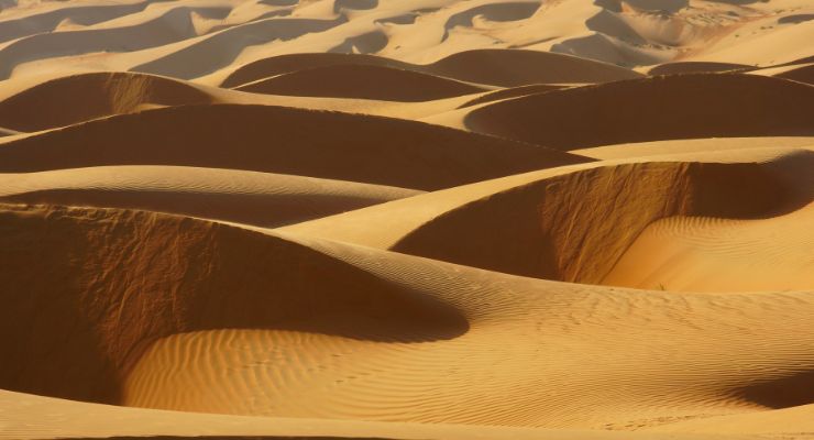 Day Three: Sharqiyah Sands Desert