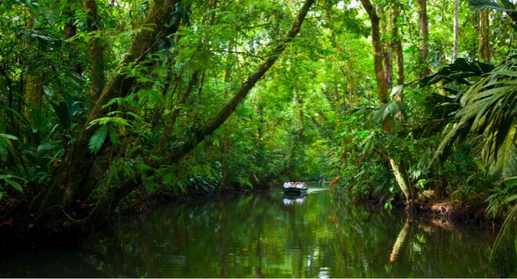 Day Six: Tortuguero Village Visit