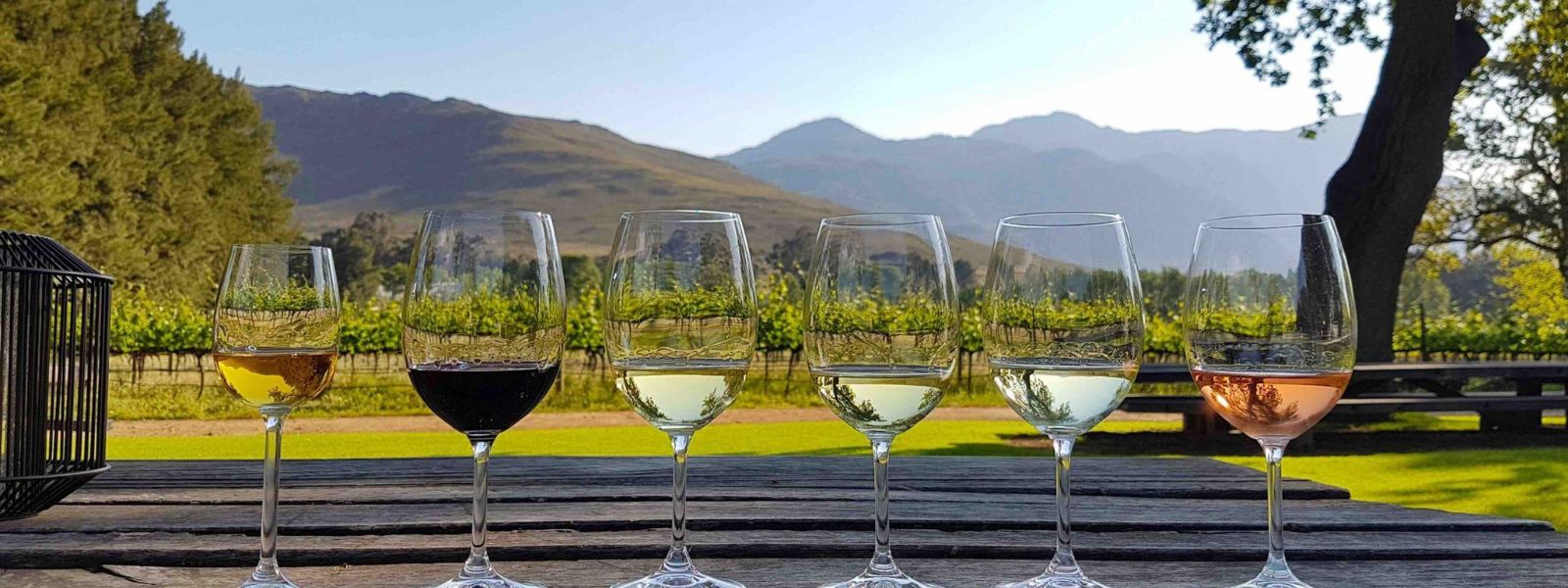 Top wine-themed overseas trips