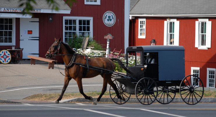 Day Five: Lancaster County – Amish Country