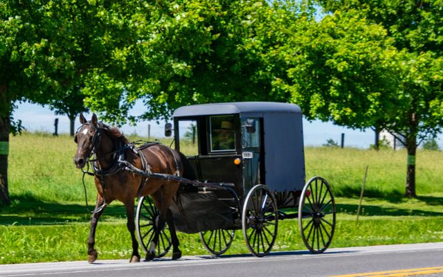 Amish Country 