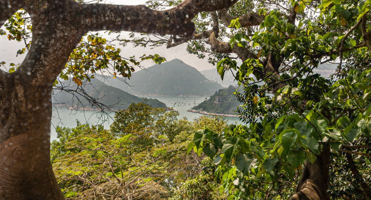 Day Eight: Yangtze River 