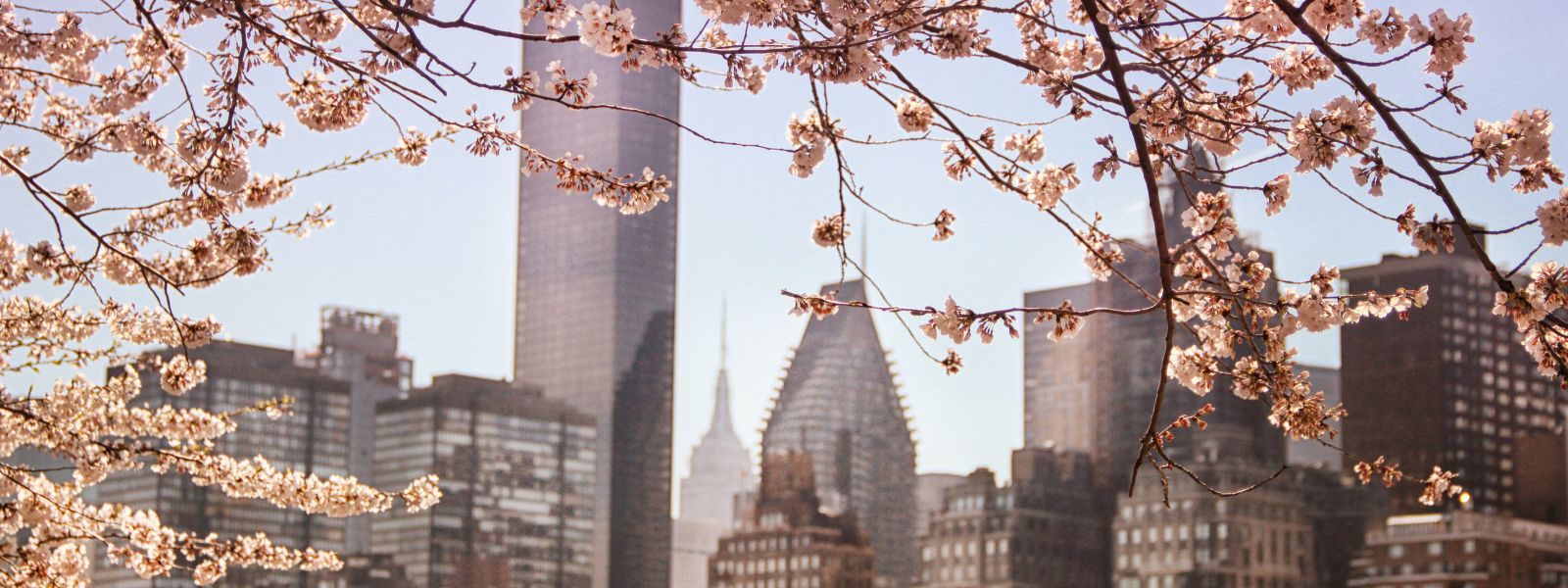 Spring in New York