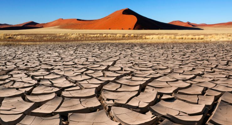 Day Six: Sossusvlei & Deadvlei