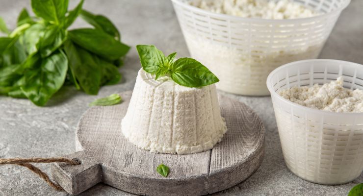 homemade ricotta cheese