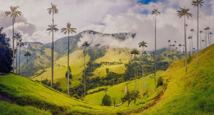 Day Four: Cocora Valley Jeep Tour & exploring Salento 