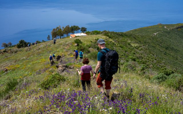 Expert Guided Walking