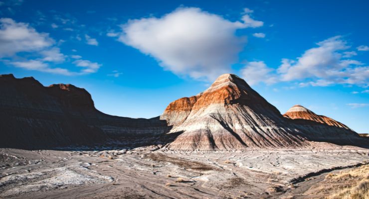 Day Seven: Petrified Forest National Park