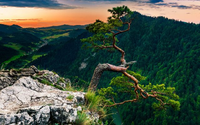 Pieniny National Park