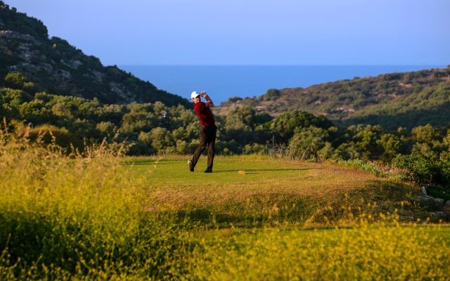 Four Rounds of Organised Golf