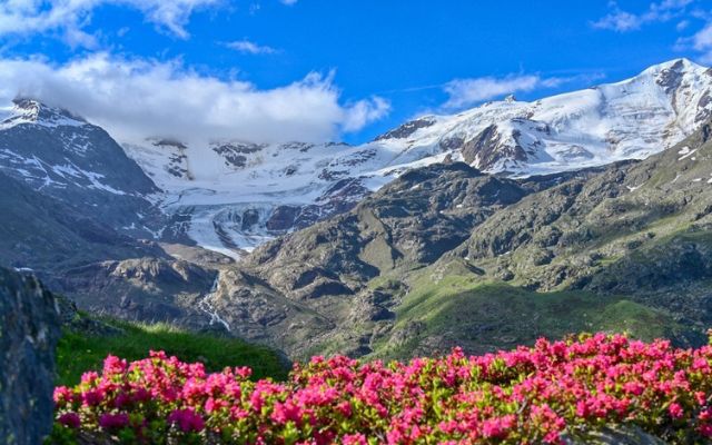 Stelvio National Park