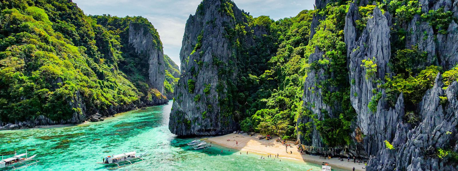 Tropical Treasures of the Philippines