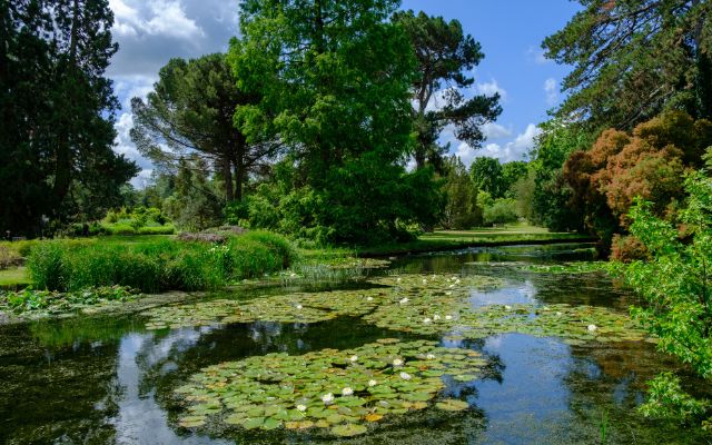 Botanical Gardens 