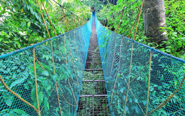 Via Ferrata Canopy Walk