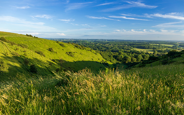 Picturesque Countryside