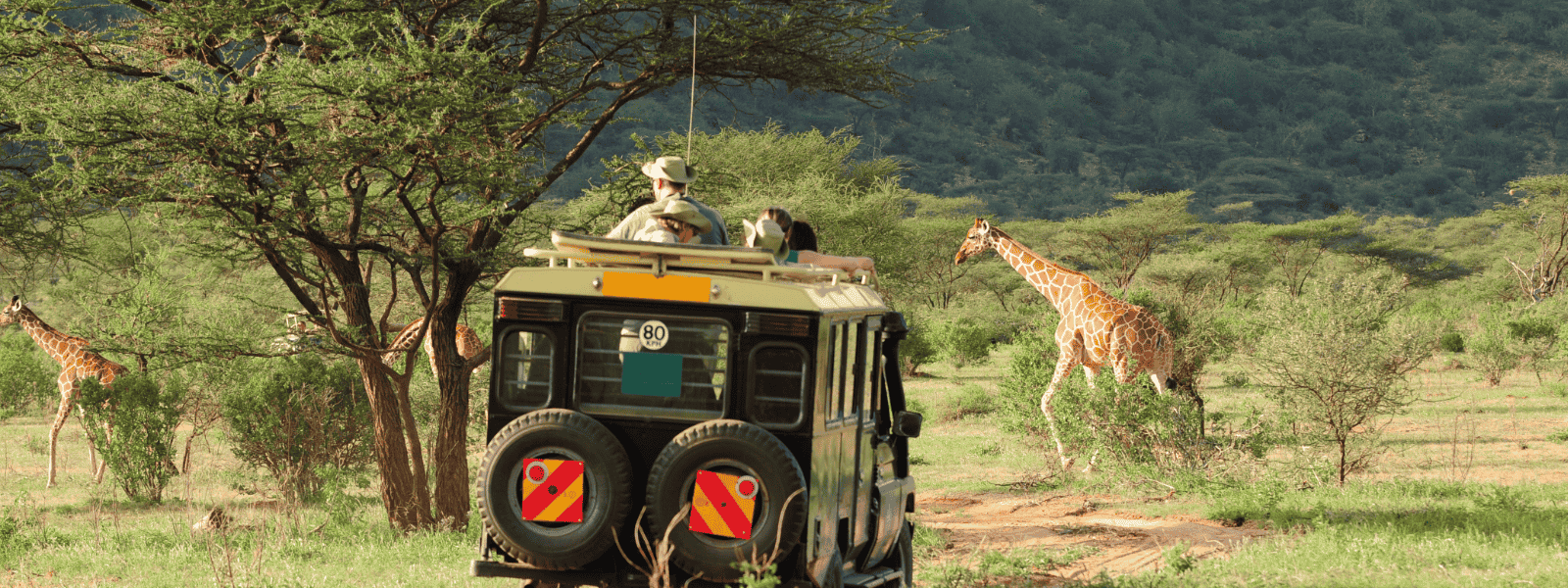 Kenya Solo Tours & Holidays