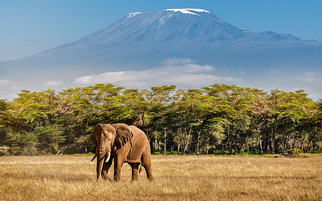 Mount Kilamonjaro