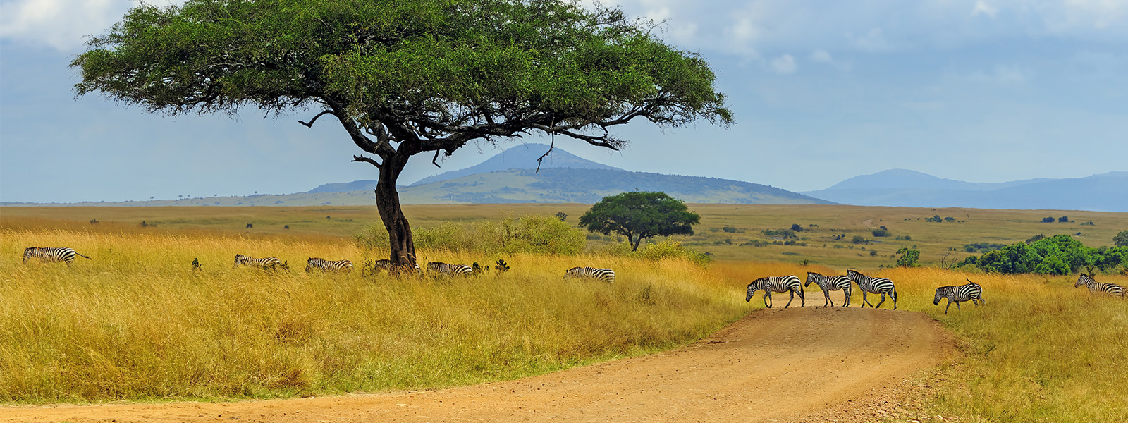 Tanzania Solo Trips & Tours