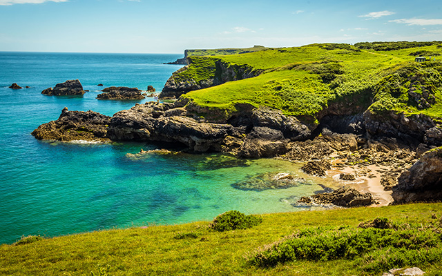 Rugged Coastline