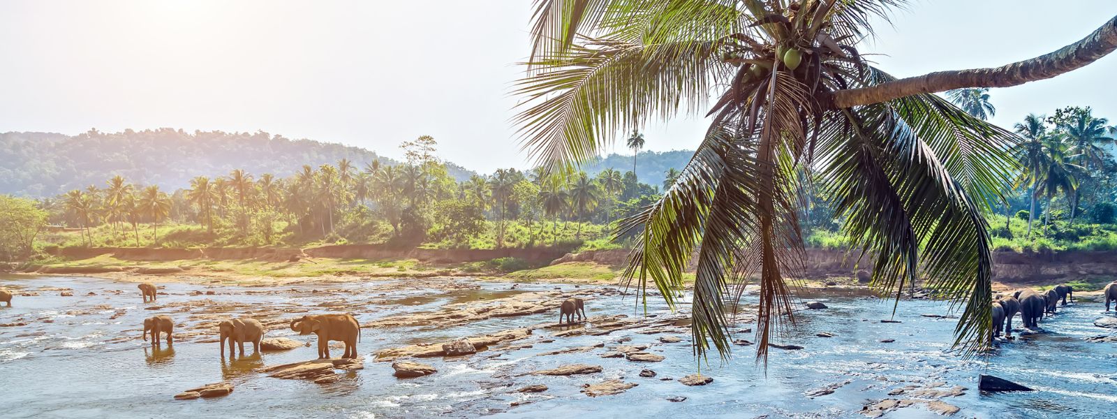 Sri Lanka